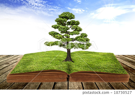The big tree growth from a book The big tree growth from a book 18730527