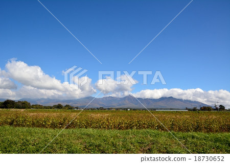 在Yatsugatake的蕎麥領域在秋天 在Yatsugatake的蕎麥領域在秋天 18730652