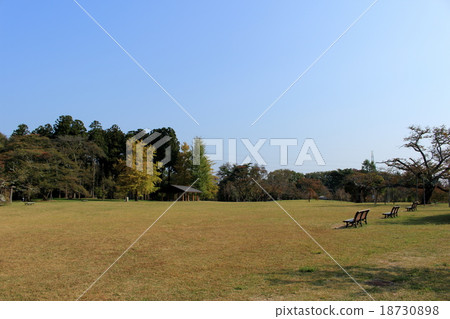 秋天的三新公園 秋天的三新公園 18730898