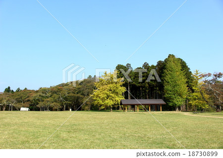 秋天的三新公園 18730899