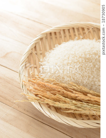 Rice Rice 18730905