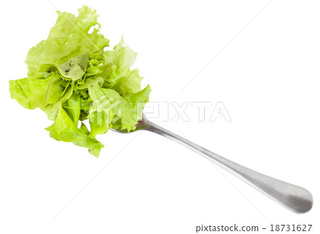 dinning fork with fresh green lettuce isolated 18731627
