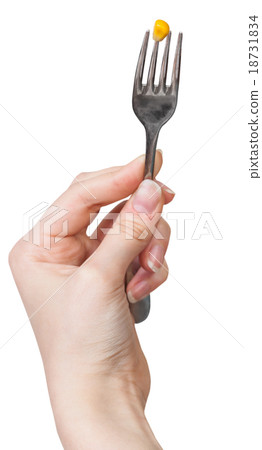 yellow maize seed impaled on fork in female hand 18731834