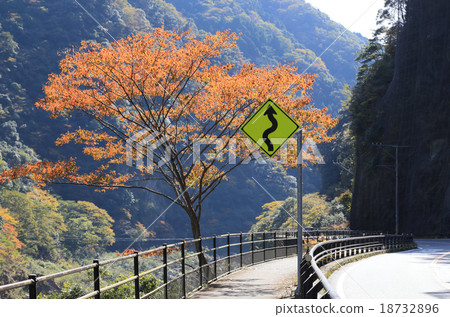 Traffic signs in the autumn of Shikoku Road, National Highway No. 32 Oboke (warning signs: with zigzag) Traffic signs in the autumn of Shikoku Road, National Highway No. 32 Oboke (warning signs: with zigzag) 18732896