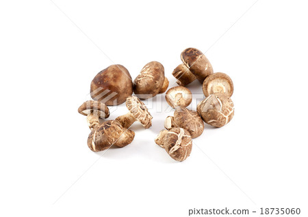 chinese mushroom 18735060