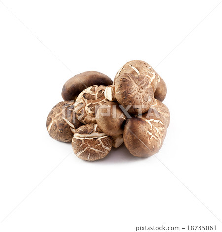 chinese mushroom chinese mushroom 18735061