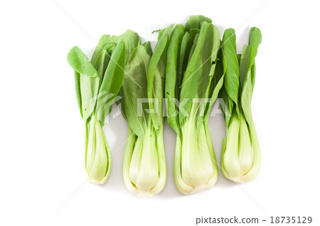 Bok choy 18735129