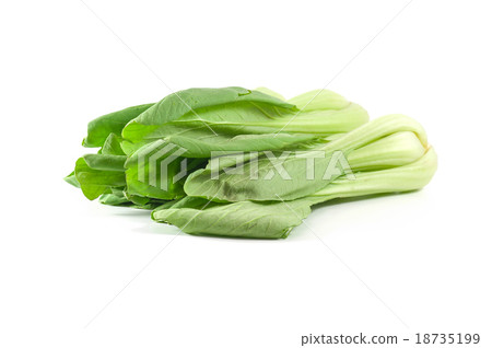 Bok choy 18735199