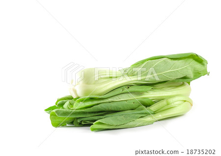 Bok choy 18735202