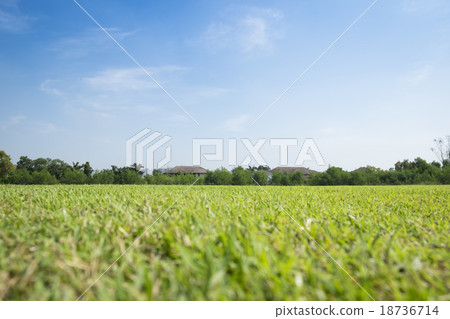 Greensward field background 18736714