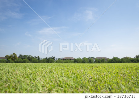 Greensward field background 18736715