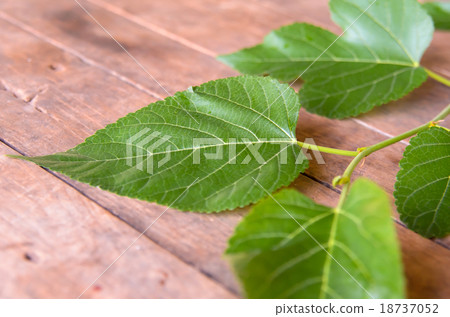 Leaves on wood background 18737052