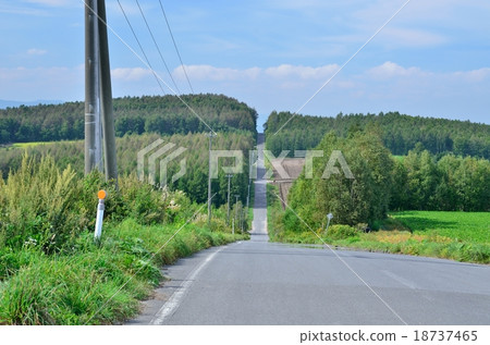 新的過山車路油桃小山 新的過山車路油桃小山 18737465