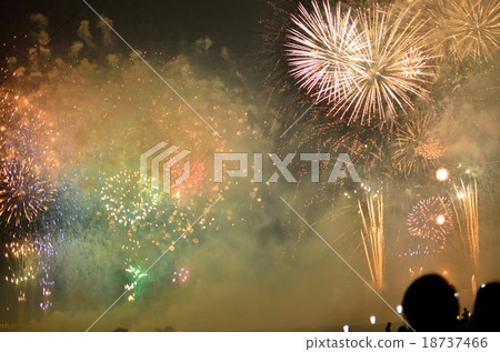 煙花匯演 18737466