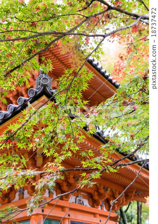 Daitokuji寶塔 18737472