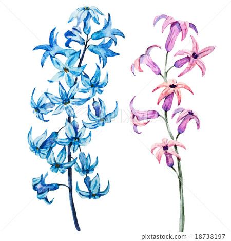 Hand drawn watercolor flowers 18738197