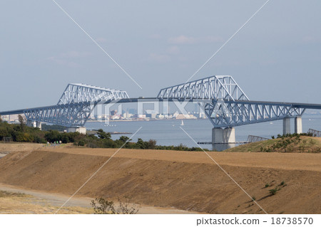 從海洋森林的東京門橋樑 18738570