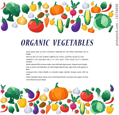 Vector Vegetables Background in Flat Style - Stock Illustration ...