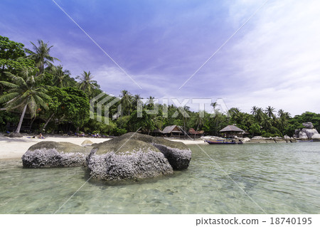 Perfect tropical bay on Koh Tao Island Perfect tropical bay on Koh Tao Island 18740195
