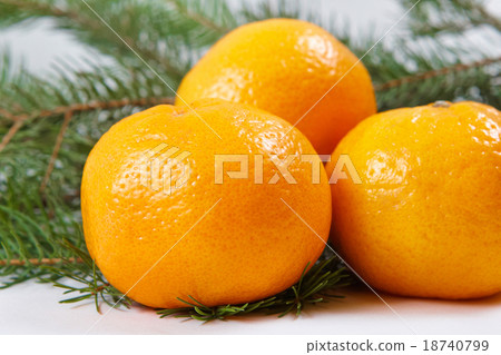 tangerine tangerine 18740799