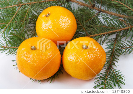 tangerine tangerine 18740800