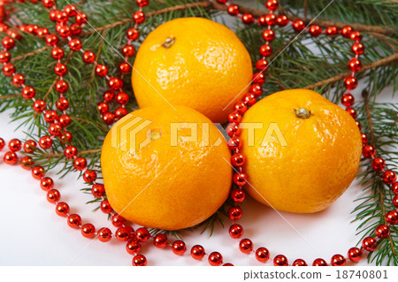tangerine tangerine 18740801