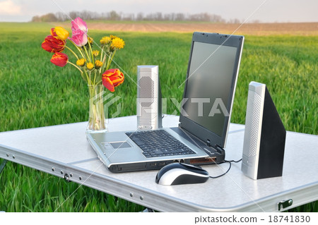 Laptop on the nature Laptop on the nature 18741830