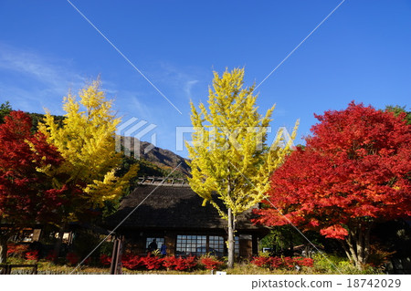 Autumn leaves of Nozomi West Lake, Negishi 01 Ri 18742029
