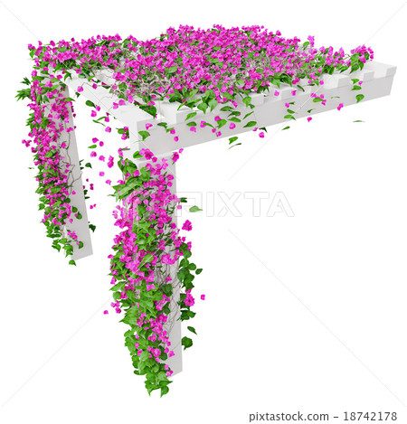 Ivy with pink flowers, top view 18742178