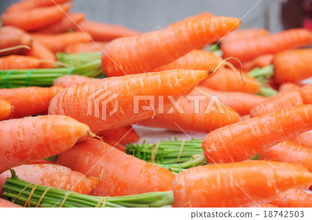 carrot carrot 18742503