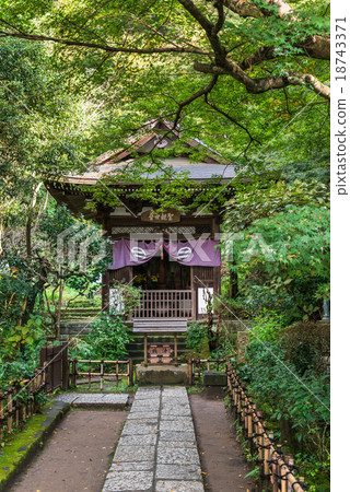 Kamakura Enka Temple Huangmei in autumn 18743371