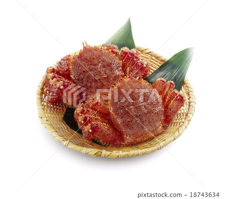  Hairy crab 18743634
