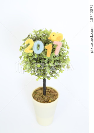 2017年鳥類 18743872