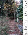 Autumn Path 18744575