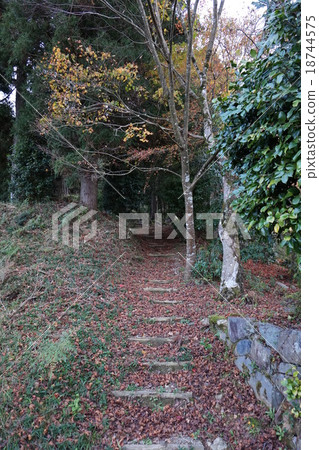 Autumn Path Autumn Path 18744575
