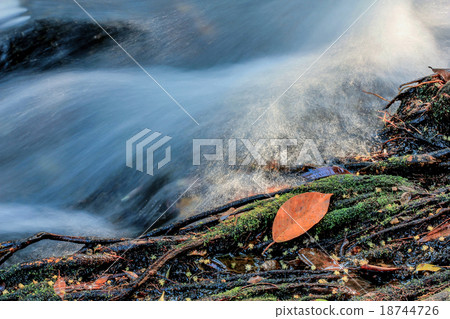 Stream, River Stream, River 18744726