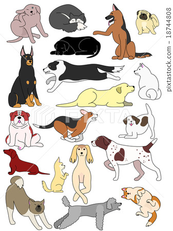 Dog Pose Various 18744808