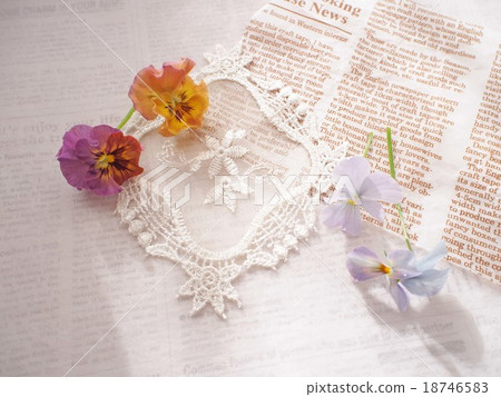 Flowers and light and shadows 18746583