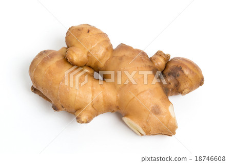 Ginger Ginger 18746608