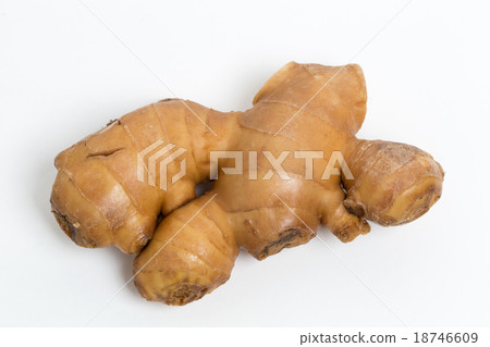 Ginger Ginger 18746609