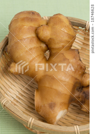Ginger  18746628