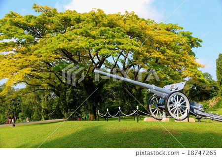 Istana黃色框架和佳能槍在新加坡 18747265