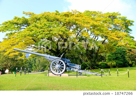 Istana Yellow Frame and Canon Gun in Singapore 18747266