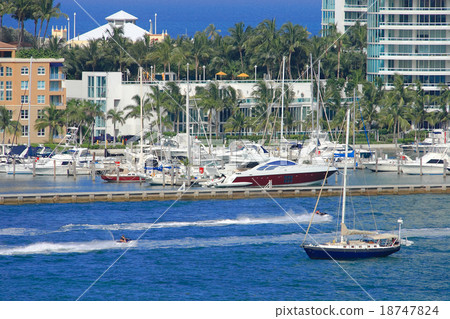 miami miami 18747824