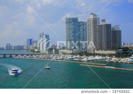 miami miami 18748882