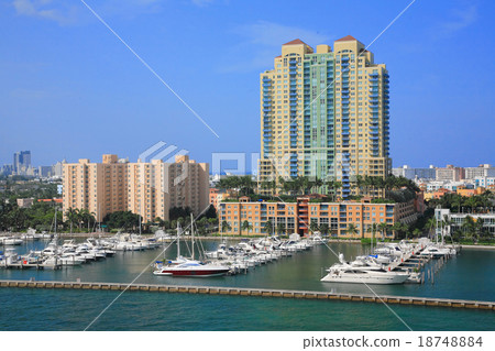 miami miami 18748884