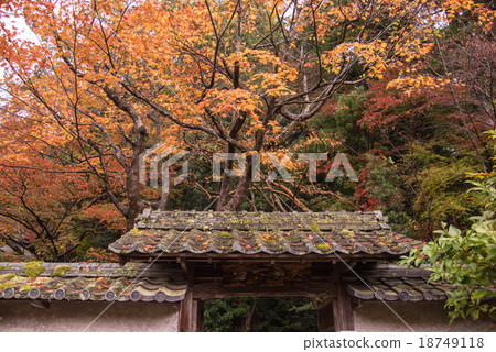 秋葉的Konogoi-ji寺廟東部三宅屋屋頂下雨 18749118