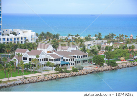 miami miami 18749282