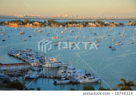 miami miami 18749314