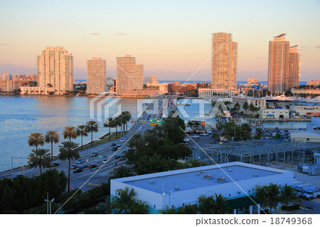 miami miami 18749368